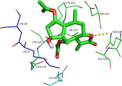 Bioluminescence Imaging-Based Assessment of the Anti-Triple-Negative Breast Cancer and NF-Kappa B Pathway Inhibition Activity of Britanin